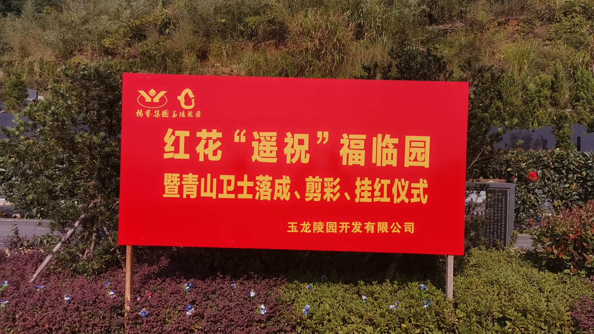 红花传爱意，情满玉龙园！