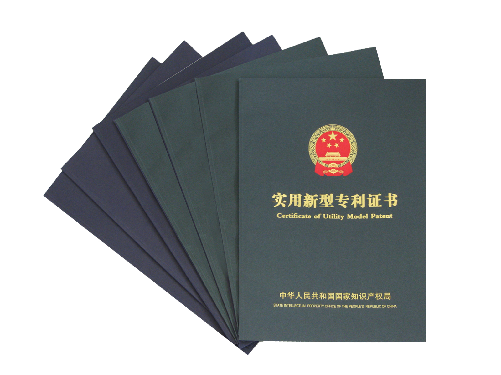 <b>杨艺再次喜获实用新型专利、外观设计专利</b>