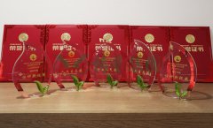 “杨艺杯”浙江省节地生态安葬设计作品奖