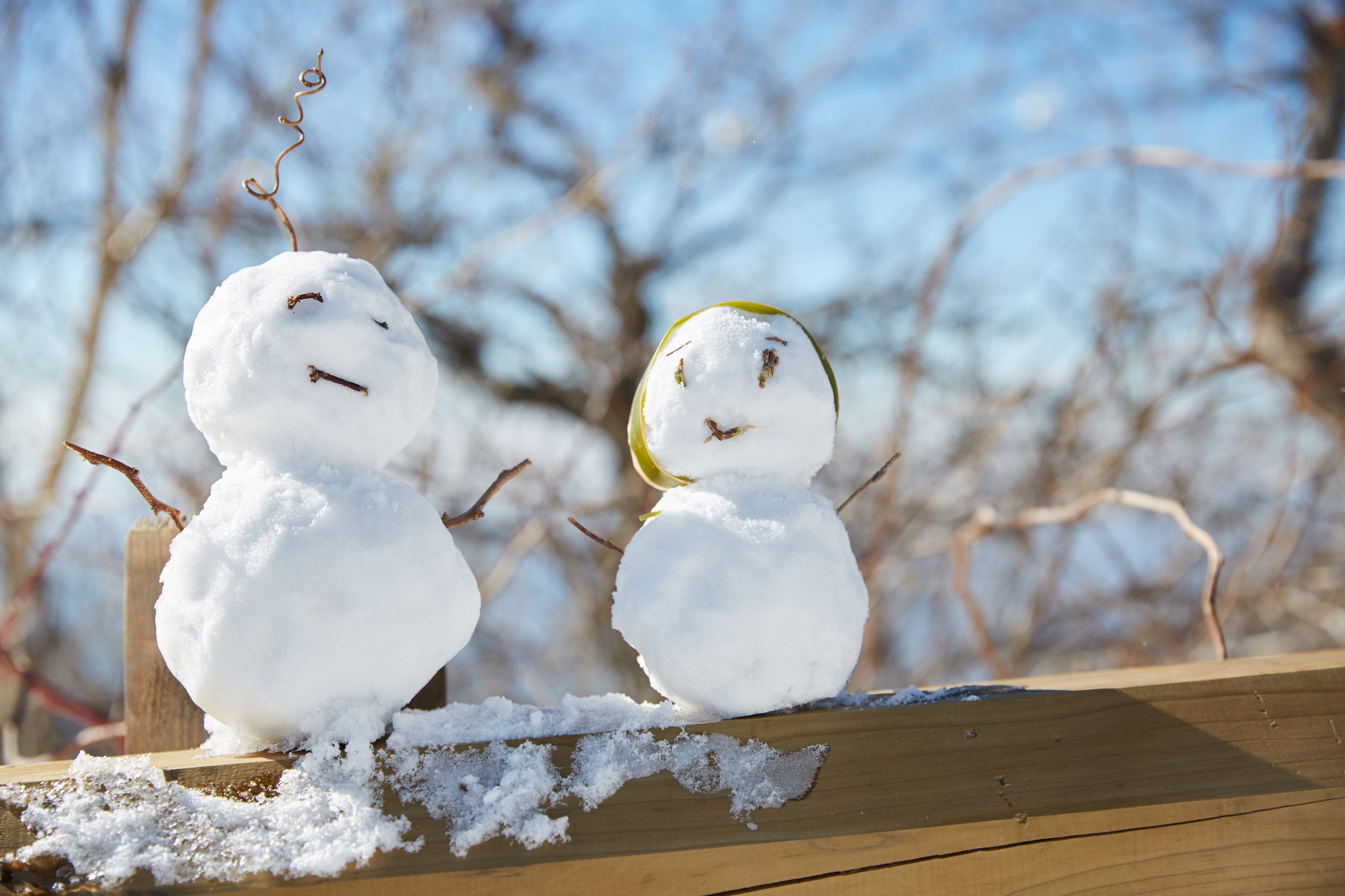 冬至，暖“杨”相伴 | 杨艺人全力配合各墓园冬至落葬