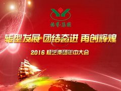 【2016年杨艺年中会正在召开中~】全员充电培训