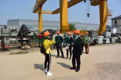 杨艺集团匠心打造景观雕塑型生产基地