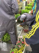 【杨艺人别样清明】2018年清明落葬工作圆满完成