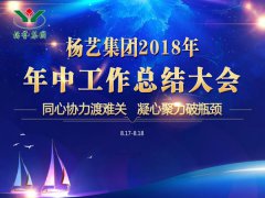 杨艺集团2018年中总结报告（摘要）