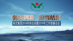 杨艺集团2018年总结暨2019年工作部署会议召开