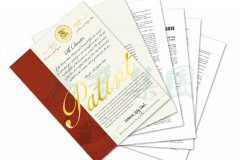 国际认可 | 杨艺喜获一项美国发明专利授权