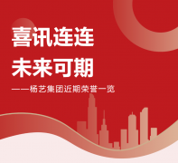 喜讯连连，未来可期 | 杨艺集团近期荣誉一览