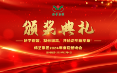 2024年杨艺集团迎新春年会暨颁奖典礼盛大举行