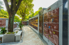 绿色殡葬新风尚：探索葬式多样化的创新之路