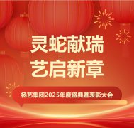 灵蛇献瑞 艺启新章 | 杨艺集团2025年度盛典暨表彰大会