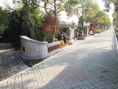 城市最后一平米:生态葬,是与自然的和解?还是无奈的选择?