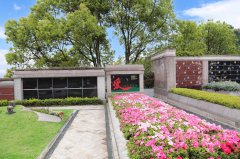 归于自然，泽被后世：解读现代生态葬及其创新趋势