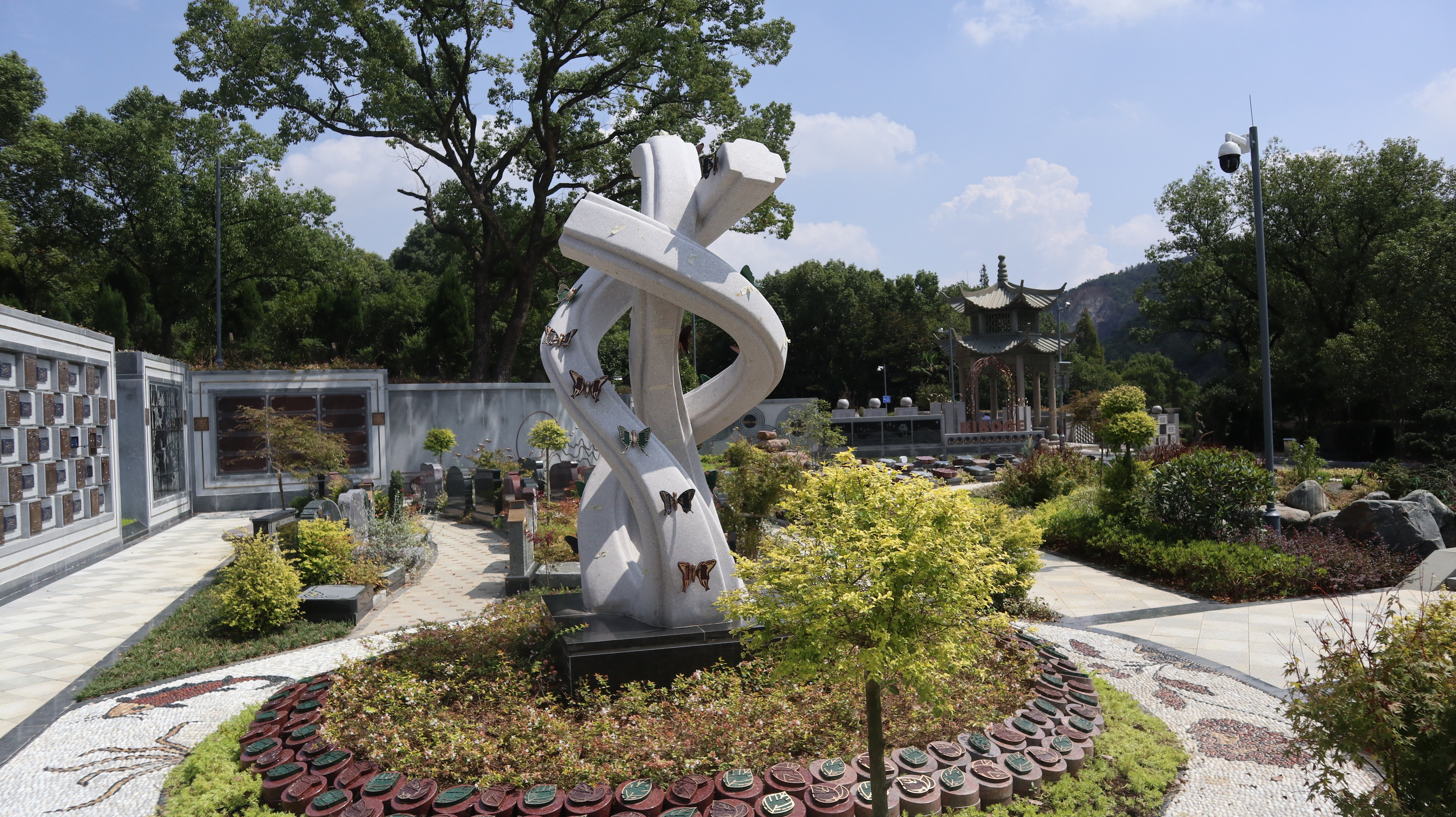 节地亦诗意！杨艺葬式创新助力绿色殡葬发展