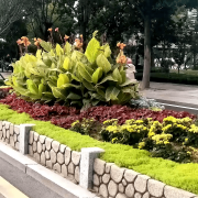 无机仿真石花箱：以永恒之名，塑未来之境