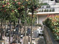 微改造，大情怀——老墓园规划设计的温度与智慧