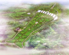 以规划之智，筑生命之园：杨艺集团的殡葬改革实践